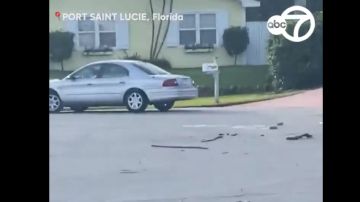 El perro conduciendo el coche en reversa y en círculos estropeó un buzón.