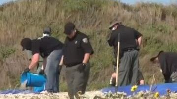 La policía no ha dado mayores detalles, o si las víctimas estan relacionadas con el caso de una pareja desaparecida de New Hampshire.