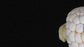 Foto: Silvia Hernández/Pixabay