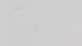 Con este método, tus conexiones jamás caerán.