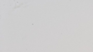 Con este método, tus conexiones jamás caerán.