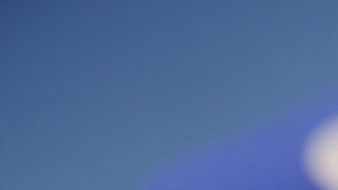 La empresa está haciendo grandes esfuerzos por evitar la propagación de noticias falsas.