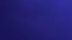 La gente se encontraba rezando debajo de un árbol.