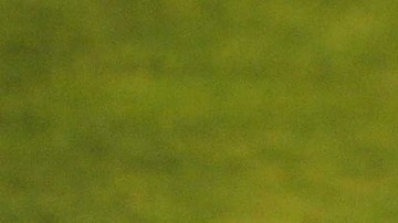 Javier Aguirre rechazó una propuesta para dirigir a Chivas.