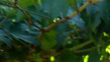 García cuenta que la zumba y las caminatas le ayudaron a bajar de peso. / foto: USC.