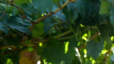 García cuenta que la zumba y las caminatas le ayudaron a bajar de peso. / foto: USC.