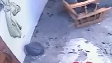 El gato evitó a toda costa que el bebé se acercara a la escalera.