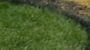 Pittsburgh quiere su sexta victoria ante uno de sus rivales históricos.