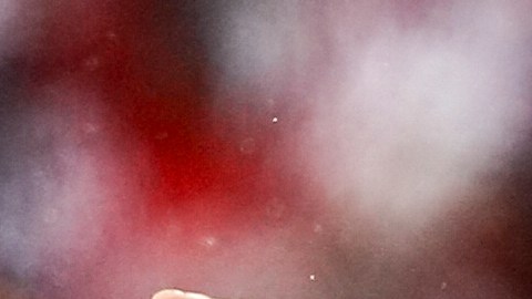 Patrick Mahomes, quarterback de los Chiefs, jugará el lunes en México.