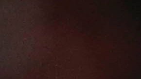 Al joven esquinero de Los Angeles le gusta presumir sus raíces mexicanas y su fanatismo por las Águilas.