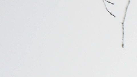 El peor periodo de la tormenta será entre la tarde y noche del miércoles próximo. En la foto de archivo, nieve en Boston.