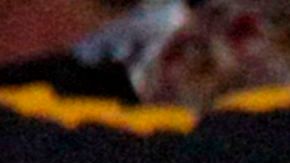 Hinchas del Rosario Central.