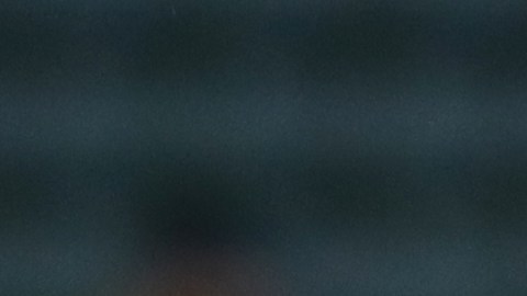 El sueco anunció el fin de su aventura en la MLS mediante sus redes sociales.