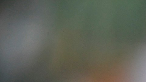 El jugador tiene ascendencia mexicana.