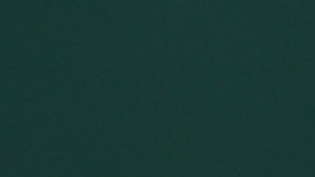 Se viralizó un video donde se ve a Mané ayudando al utilero de la selección de Sengal.