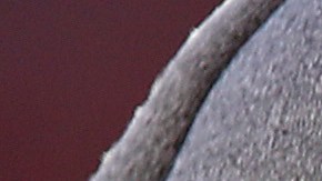 Se acabó la temporada para Cam Newton.