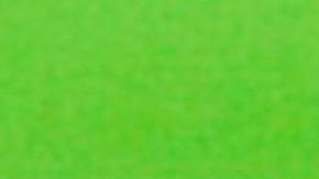 El uruguayo no ha podido conseguir el torneo continental.