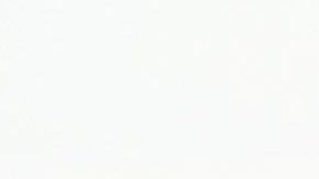 El presidente Trump escribió parte de una conversación telefónica.