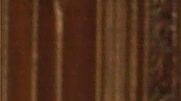 Tommy Mottola y Thalía.