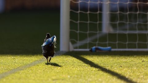 El futbolista Ivan Gazdek fue expulsado del encuentro.