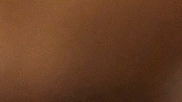 El boricua Alex Cora, cuando era coach de banca de los Astros en 2017.