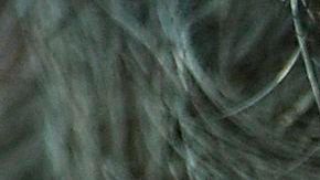 El francés tampoco está feliz con el videoarbitraje.