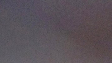 Charles Rogers padecía cáncer y una enfermedad que dañaba su hígado fue receptor estrella de Michigan State University.