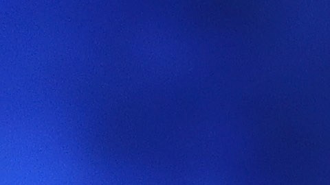 Dana White, del UFC, entre Mayweather y McGregor.