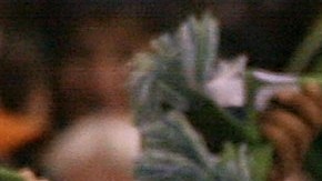 Dentro del menú de fútbol figura la final de la MLS en Seattle.