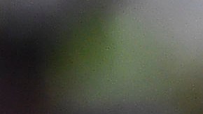 Guido Rodríguez fue elegido el mejor jugador de la temporada anterior en la Liga MX.