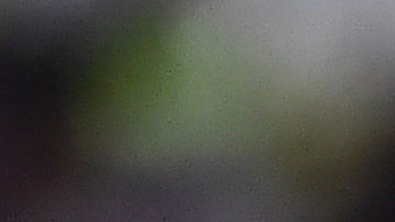 Guido Rodríguez fue elegido el mejor jugador de la temporada anterior en la Liga MX.