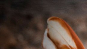 El hombre pensó que podría escoger el número de gallinas con el que se quedaría.