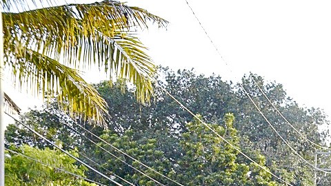 Violencia en Acapulco.