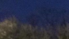 La agencia hizo los operativos en 2018.