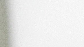 De concretarse el negocio, Camoranesi regresaría a una liga que conoce.