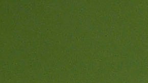 La afición no está contenta con su trabajo y lo mostraron de la peor manera.