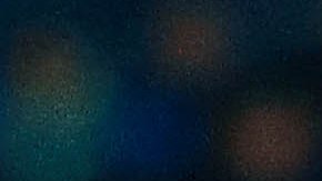 El canino hizo su aparición en el juego entre Charros y Cañeros de la Liga Mexicana del Pacífico.