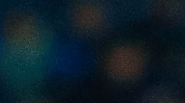 El canino hizo su aparición en el juego entre Charros y Cañeros de la Liga Mexicana del Pacífico.