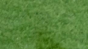 Miguel Layún y Javier 'Chicharito' Hernández.