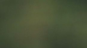 David Rodríguez estará a prueba con el Bayern Munich.