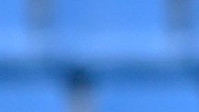 Macro Fabián echó abajo los rumores de su posible regreso al Rebaño.