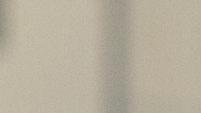 Trascendió que Emilio Azcárraga e ya le advirtió al explosivo entrenador que no toleraría más indisciplina de su parte.