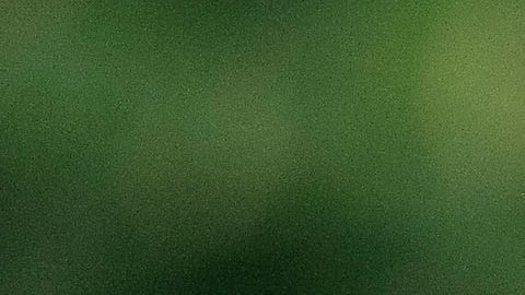 Jonathan Dos Santos es baja del Tri para los encuentros contra Bermudas y Panamá.