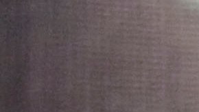 La Federación Mexicana de Futbol (Femexfut) informó que el dueño del equipo Fidel Kuri tienen hasta la medianoche para pagar los adeudos a los jugadores.