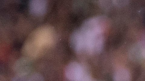 'El Brujo' estaría ganando cuatro veces más de lo que percibe en LA Galaxy.