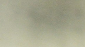 Raúl Gudiño podría salir de Chivas.