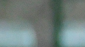 El Tri está obligado a buscar un milagro para poder avanzar a la siguiente ronda del mundial sub 17.