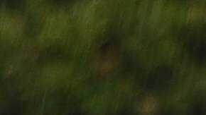 Las futbolistas se tuvieron que esconder en los baños.