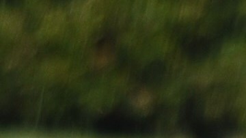 Las futbolistas se tuvieron que esconder en los baños.