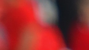 Luis Fernando Tena buscará vencer a Veracruz para tener posibilidades de acceder a la Liguilla y quedarse como DT de Chivas.